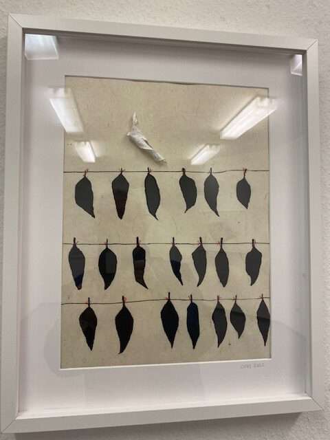 Wir sind alle schwarz, und Du?